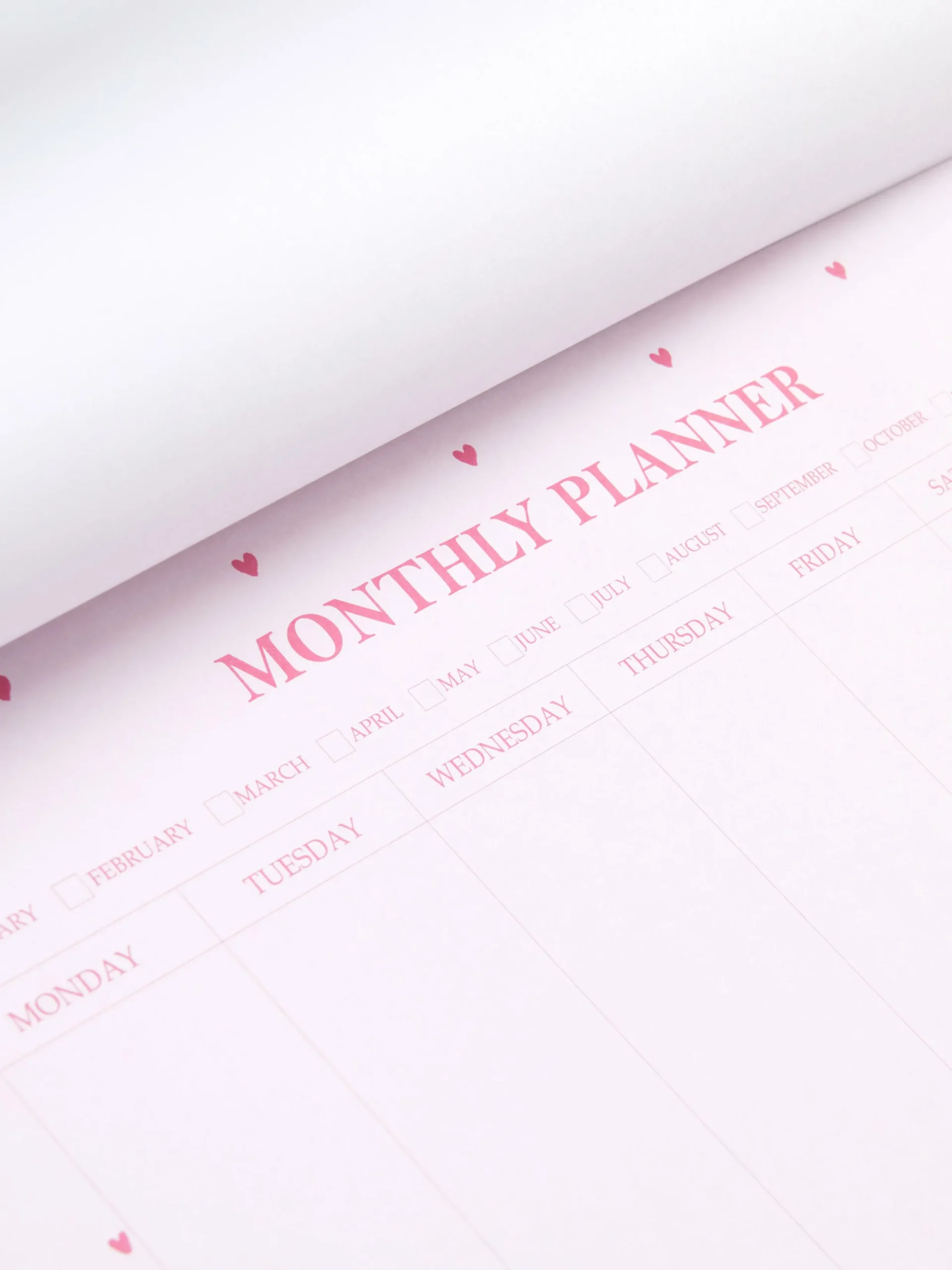 Niños Primark Cuadernos|Organizador Mensual A4 Con Estampado De Corazones