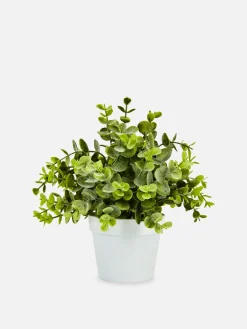 Primark Plantas Y Flores Artificiales|Pequeña Planta De Eucalipto Artificial