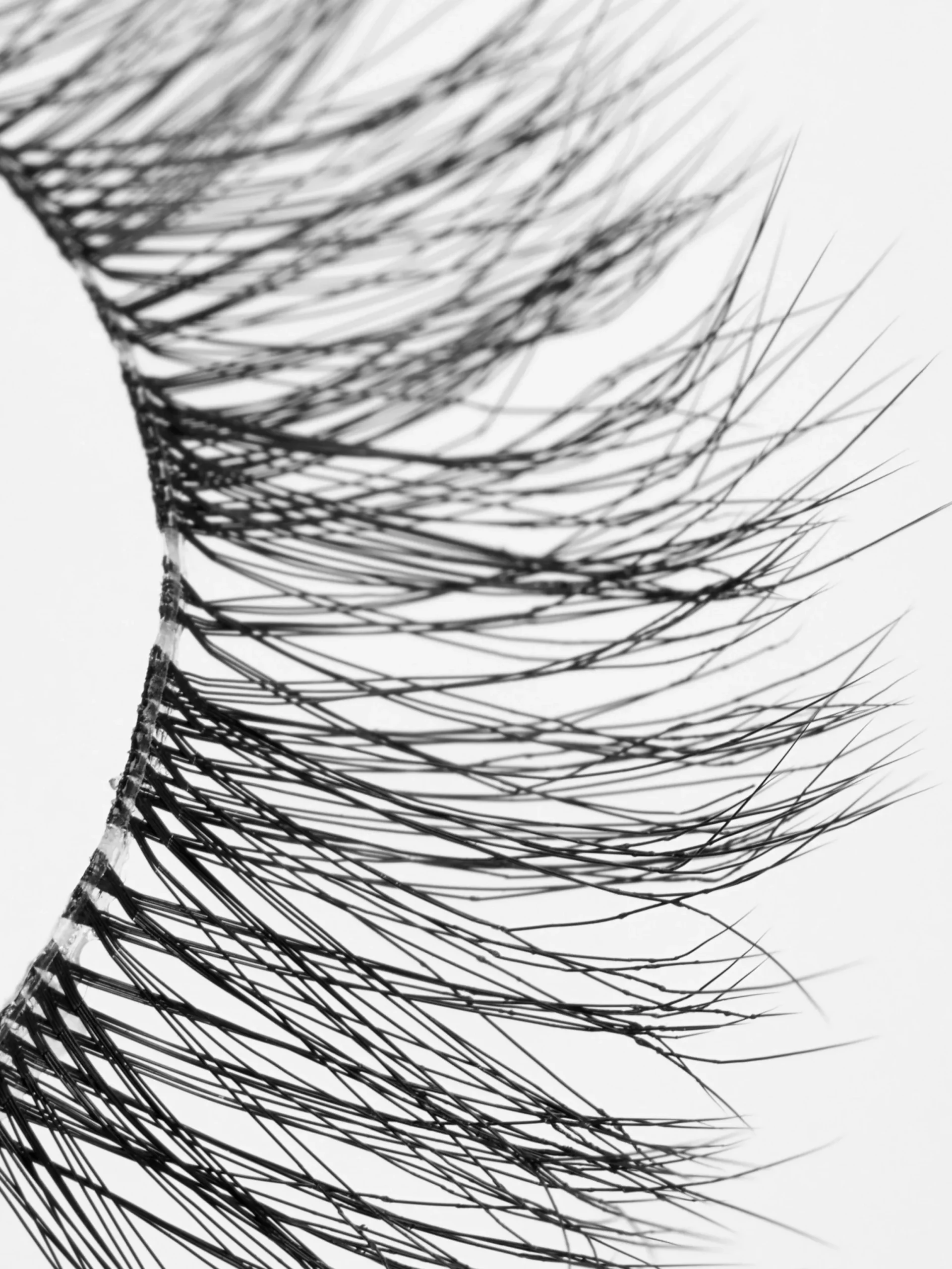 Primark Pestañas Postizas|PS... Pestañas Postizas The Party Edit