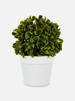 Primark Plantas Y Flores Artificiales|Suculenta Artificial En Maceta